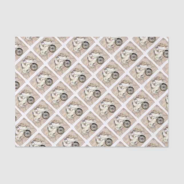 Papel De Seda Mapa de la brújula de tortugas marinas (Anverso)