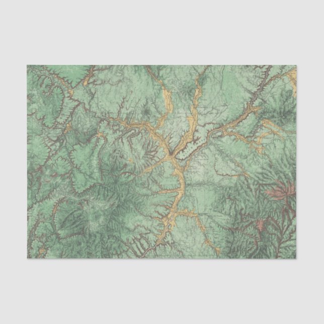 Papel De Seda Mapa de la clasificación de tierra de New México 2 (Anverso)