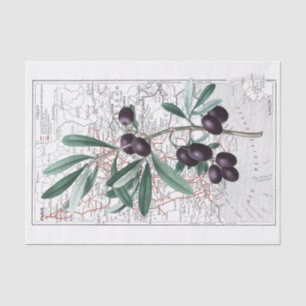Papel De Seda Mapa de la rama de olivo negro de Francia cosecha 