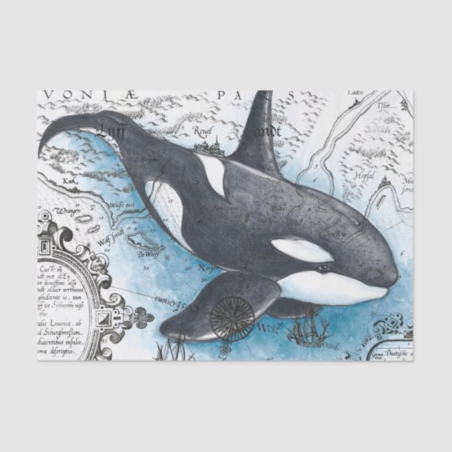 Papel De Seda Mapa Náutico de las aguas azules de la ballena de  (Anverso)