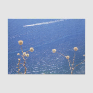Papel De Seda Mar Azul griego