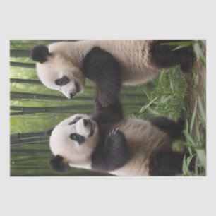 Papel De Seda Maravillas caprichosas: Los bebés pandas juegan en
