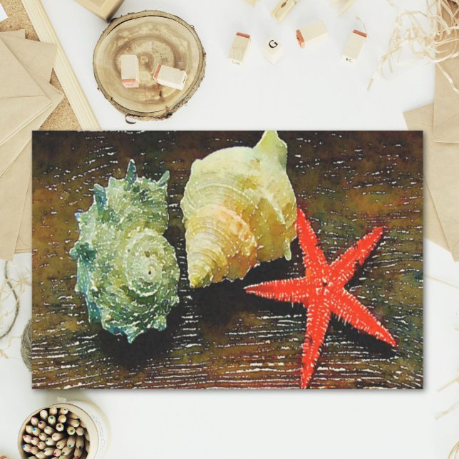 Papel De Seda marejadas estelares de mariscos de mariscos acuáti (beach watercolor seashell starfish seashells tissue paper)