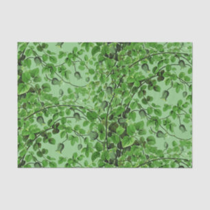 Papel De Seda Marfil verde botánico en verde