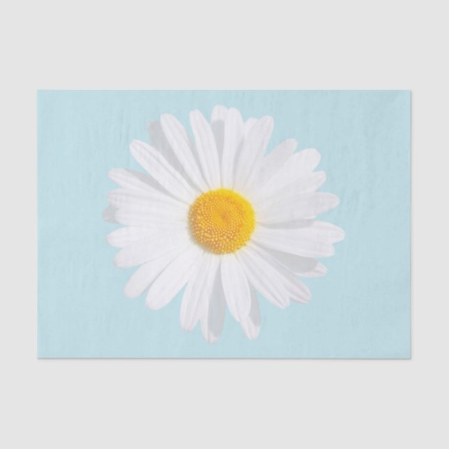 Papel De Seda margarita blanca (Anverso)