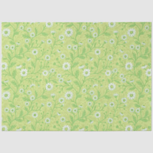 Papel De Seda Margaritas en blanco y verde sobre verde miel