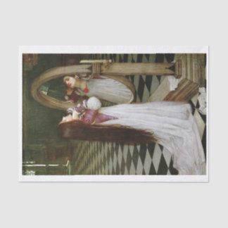 Papel De Seda Marianna, imagen del espejo retrovisor sur