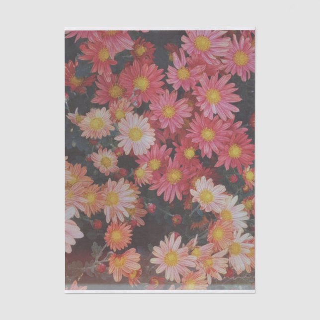 PAPEL DE SEDA MARINA FILM ART (Anverso)