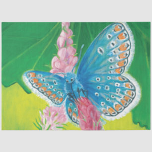 Papel De Seda Mariposa azul Chapmans (tersidades Polyommatus)