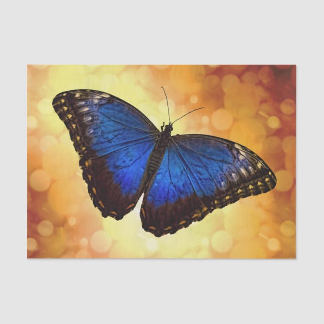 Papel De Seda Mariposa azul de Morpho (Anverso)