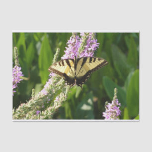 Papel De Seda Mariposa de cola cruda sobre flores silvestres mor
