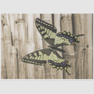 Papel De Seda Mariposa de cola tortuosa