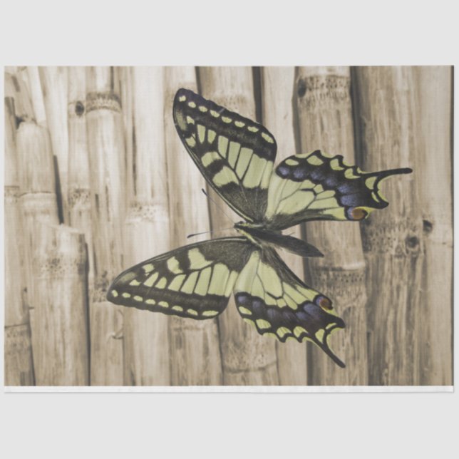 Papel De Seda Mariposa de cola tortuosa (Anverso)