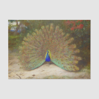 Papel De Seda Mariposa de pavo real y pavo real, Ilustracion de 