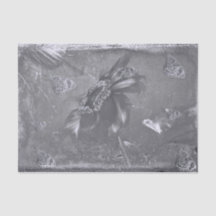 Mariposa Girasol Negro Blanco Vintage Negativo