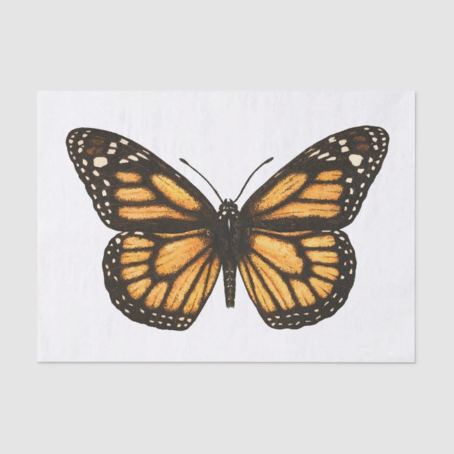 Papel De Seda Mariposa monarca (Anverso)