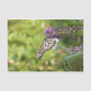 Papel De Seda Mariposa Monarca en Arbusto de Mariposas Morado