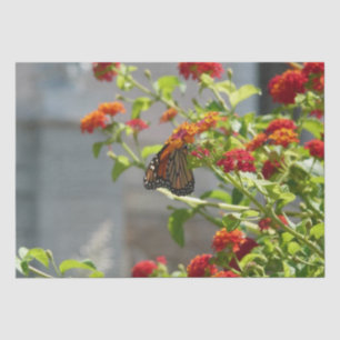 Papel De Seda Mariposa Monarca en Arbusto de Mariposas Rojo