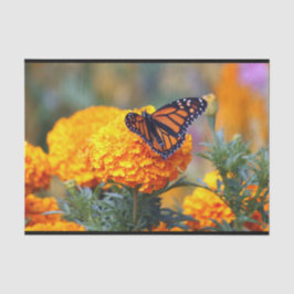 Papel De Seda Mariposa Monarca Marigold Foto