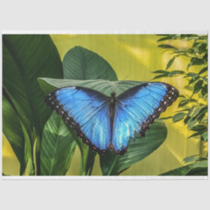 Papel De Seda Mariposa Morpho Azul Arte Floral de la Naturaleza