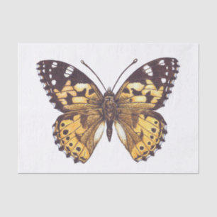 Papel De Seda Mariposa pintada