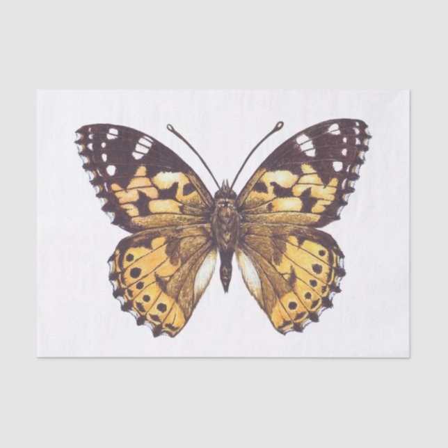 Papel De Seda Mariposa pintada (Anverso)