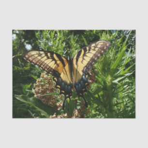 Papel De Seda Mariposa Swallowtail III Foto Hermosa y Colorida