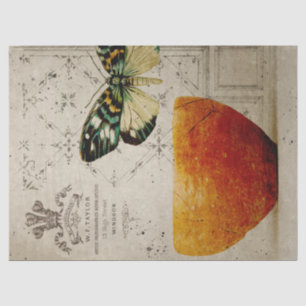 Papel De Seda Mariposa vintage y desenlace del intestino