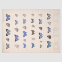 Mariposas azules vintage Ephemera Decoupage Verde 