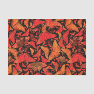 Papel De Seda Mariposas de la caída de Flutterby en negro