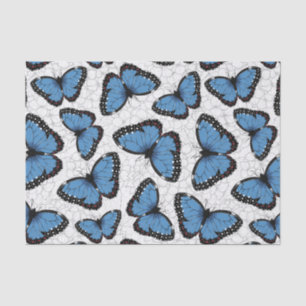 Papel De Seda Mariposas morfo azules