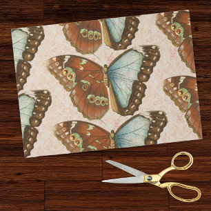Papel De Seda Mariposas naranjas teales sobre damasco antiguo so
