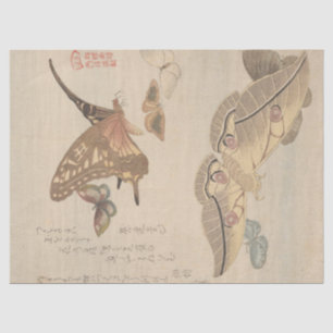 Papel De Seda Mariposas y polillas por Kubo Shunman