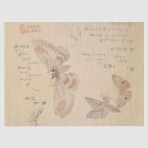 Papel De Seda Mariposas y polillas por Kubo Shunman