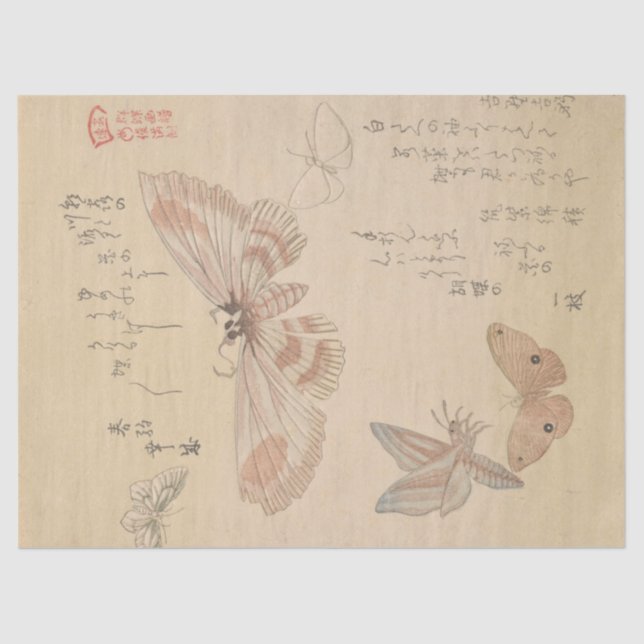 Papel De Seda Mariposas y polillas por Kubo Shunman (Anverso)