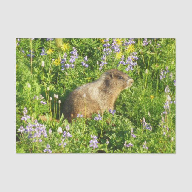 Papel De Seda Marmot en Mont Rainier Wildflowers (Anverso)