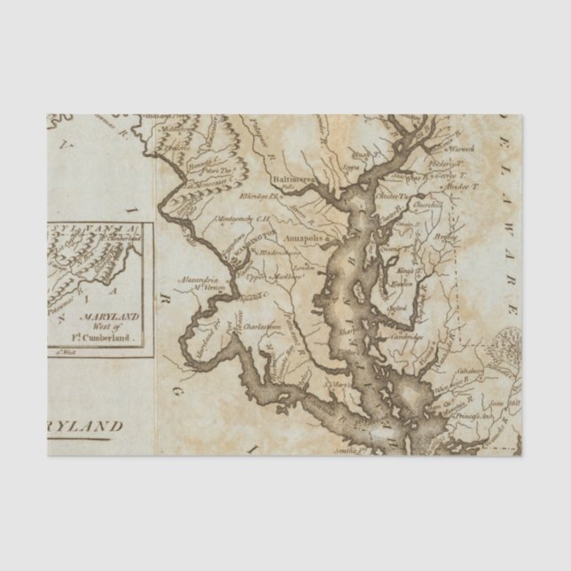 Papel De Seda Maryland 4 (Anverso)