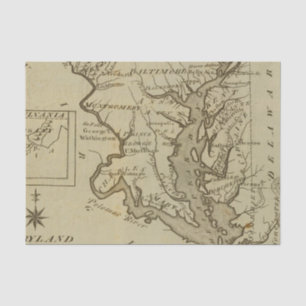 Papel De Seda Maryland 5