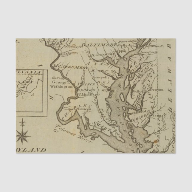 Papel De Seda Maryland 5 (Anverso)