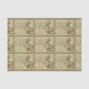 Papel De Seda Massachusetts 3