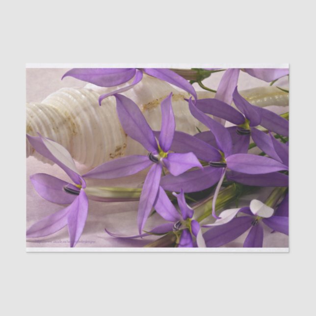 Papel De Seda Mauve Starshine Laurentia (Anverso)