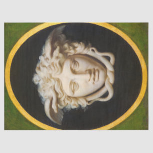 Papel De Seda Medusa Rondanini por Christoph Unterberger