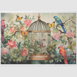 Papel De Seda Melodías de Chirping: Desenlace de la jaula de ave