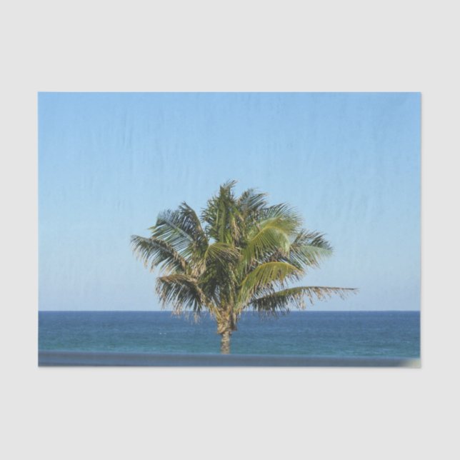 PAPEL DE SEDA MERRY FLORIDA HOLIDAYS (Anverso)