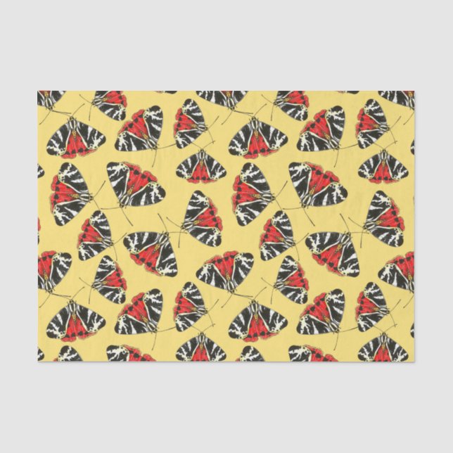 Papel De Seda Meses 3 (Anverso)