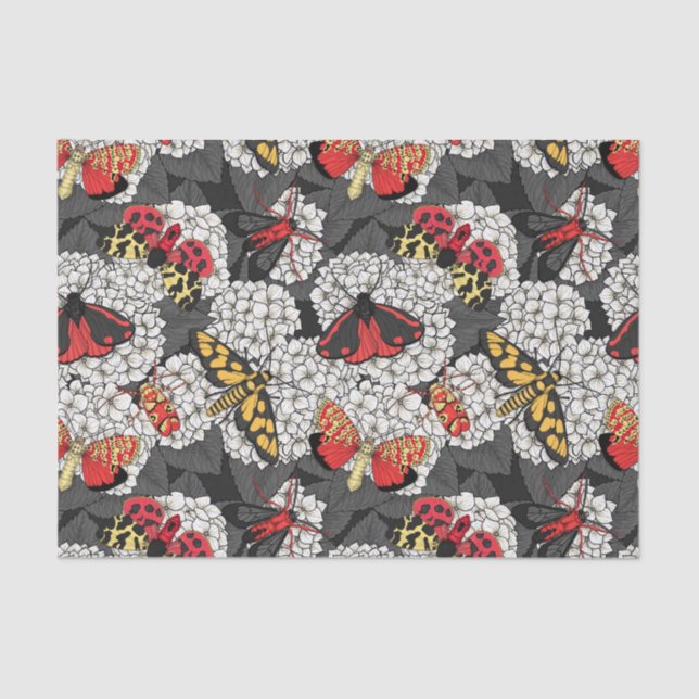 Papel De Seda Metas en hidrangea blanca (Anverso)