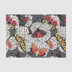 Papel De Seda Metas en hidrangea blanca