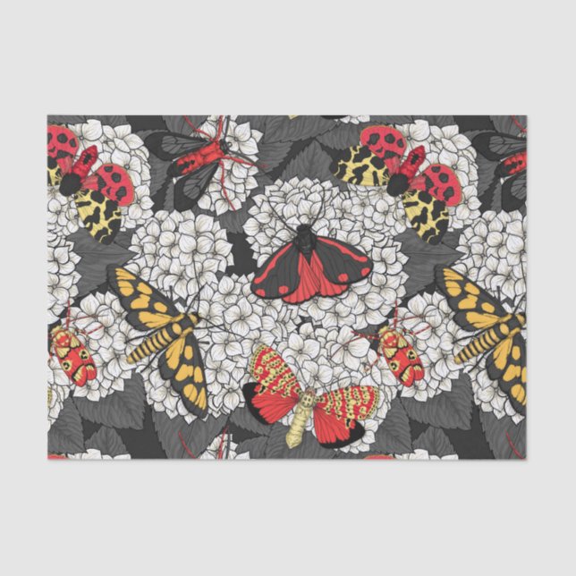 Papel De Seda Metas en hidrangea blanca (Anverso)