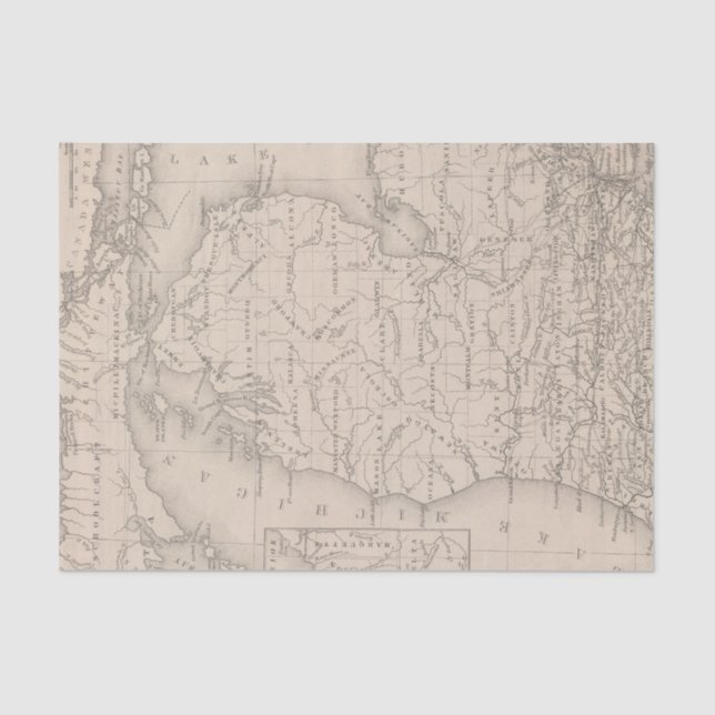 Papel De Seda Michigan 9 (Anverso)