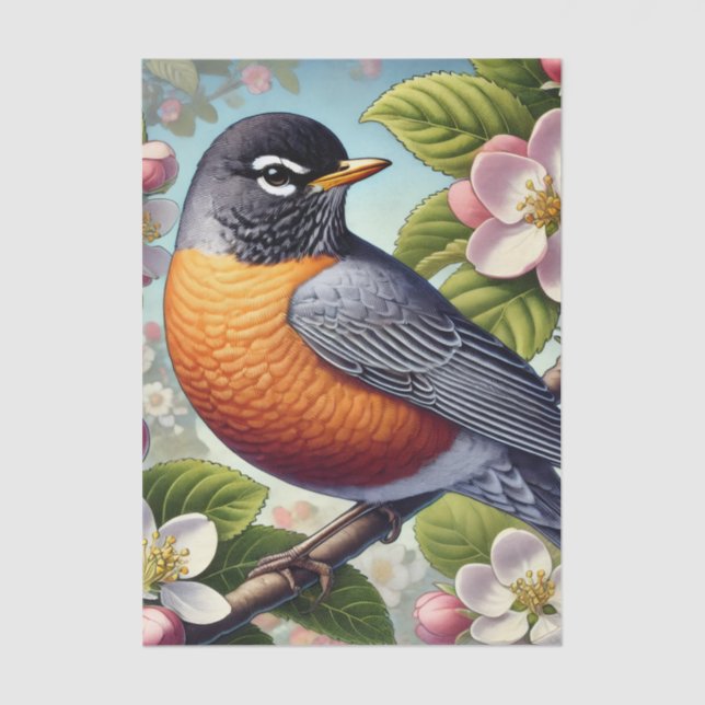 Papel De Seda Michigan State Bird American Robin (Anverso)